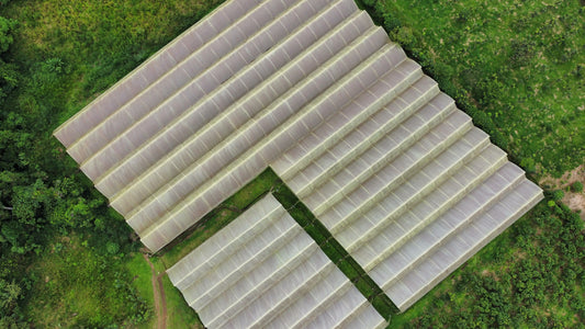 SANTO DOMINGO DE LOS COLORADOS