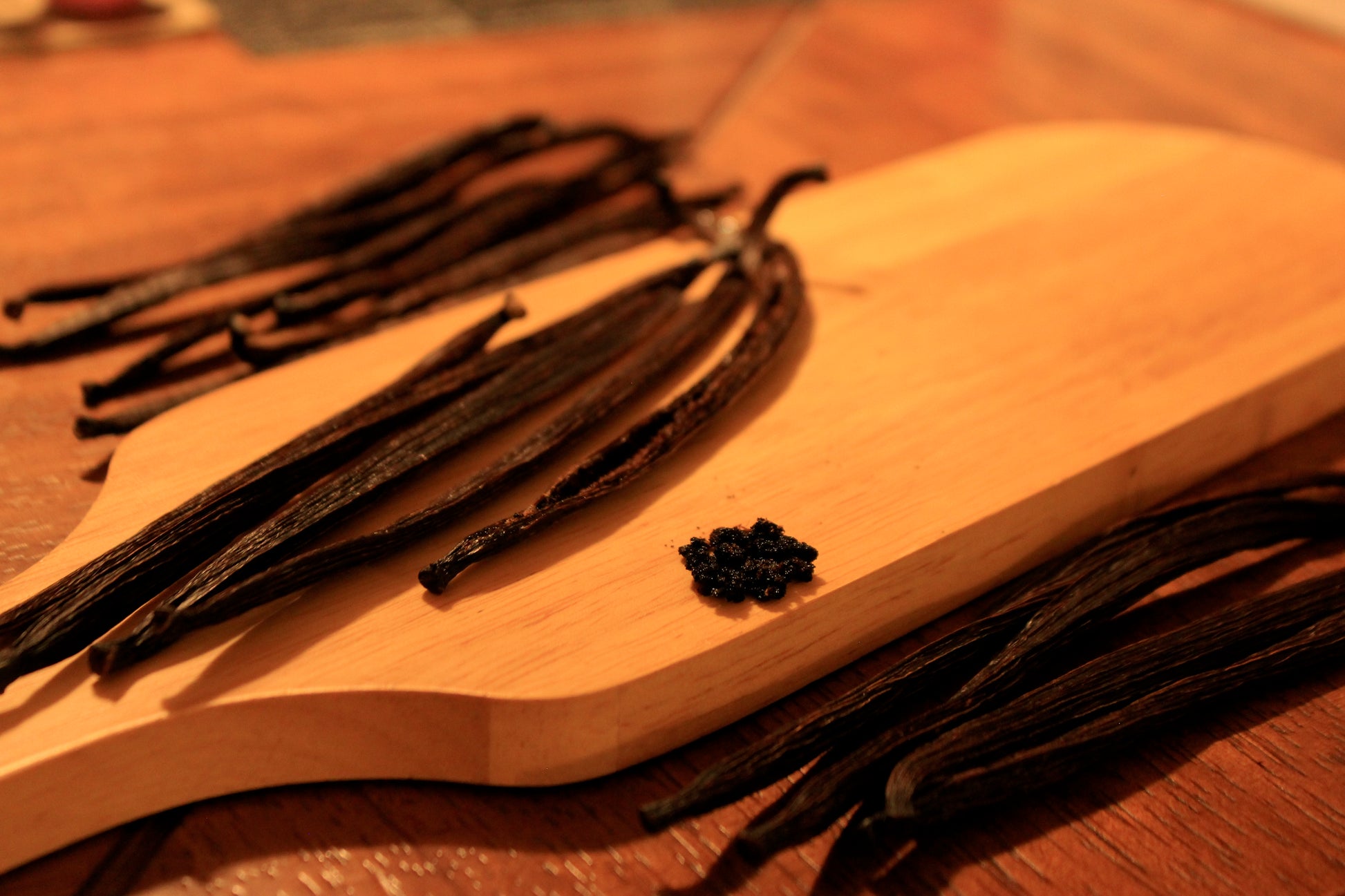 vainas de vainilla ecuador 